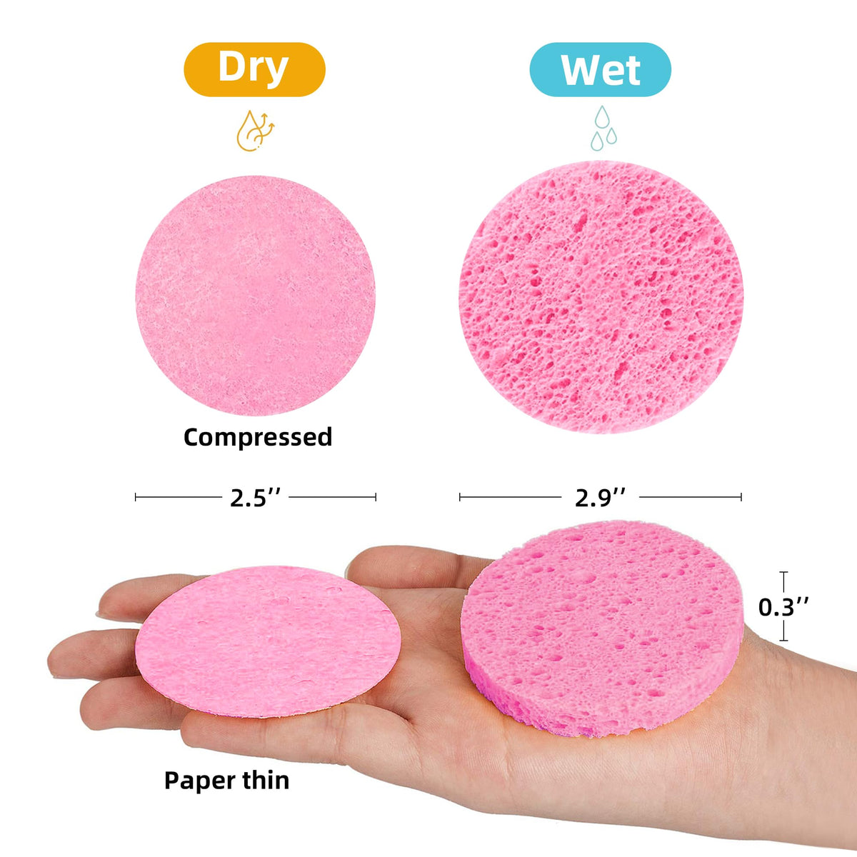 Kickleen compressed facial sponge expanded with water