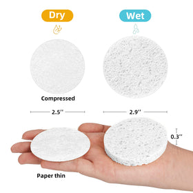 Kickleen Facial Sponge expanded in water