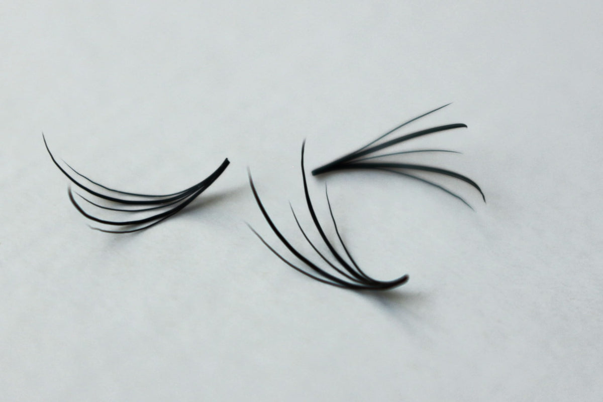Kimeyelashes 1200 wispy fans displayed on a tray