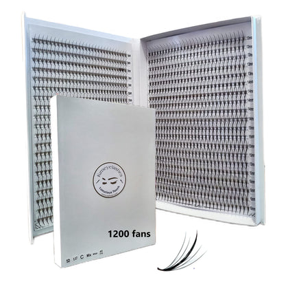 Kimeyelashes 1200 Wispy Premade Fans 5D front view