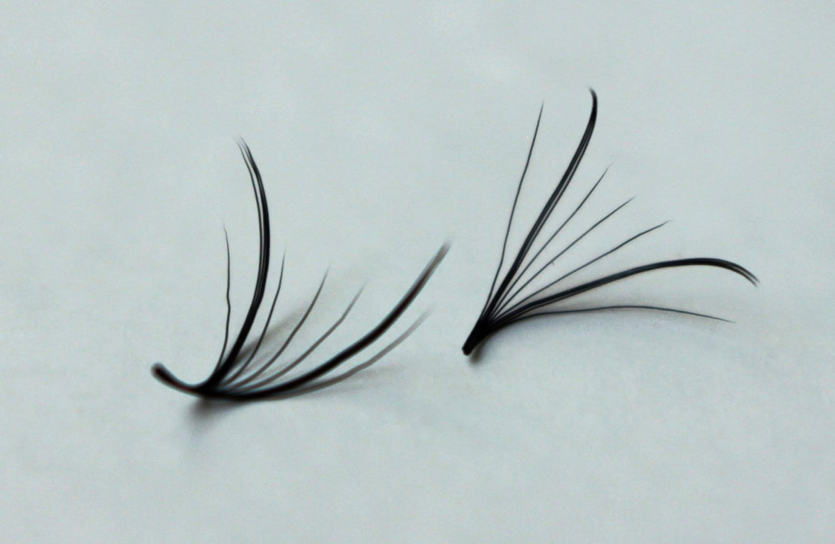 Kimeyelashes 7D Premade Fans displayed with tweezers