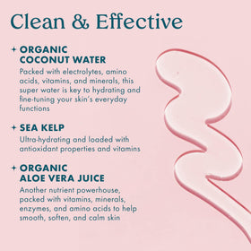 Kopari Jumbo Coconut Hydrating Body Wash with coconut and aloe vera