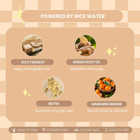 L LUSETA Rice Water Shampoo and Conditioner with ingredients