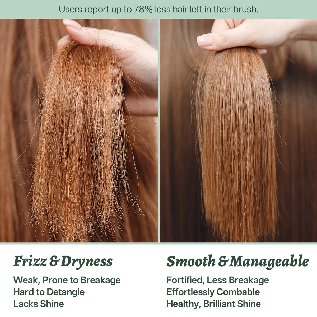 L LUSETA Rosemary Mint Shampoo and Conditioner travel-size bottles