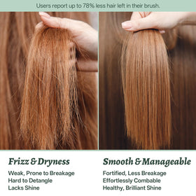L LUSETA Rosemary Mint Shampoo and Conditioner travel-size bottles