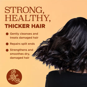 L LUSETA shampoo bottle with turmeric extract