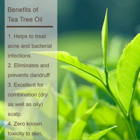L LUSETA Tea Tree Oil Shampoo and Conditioner Set packaging