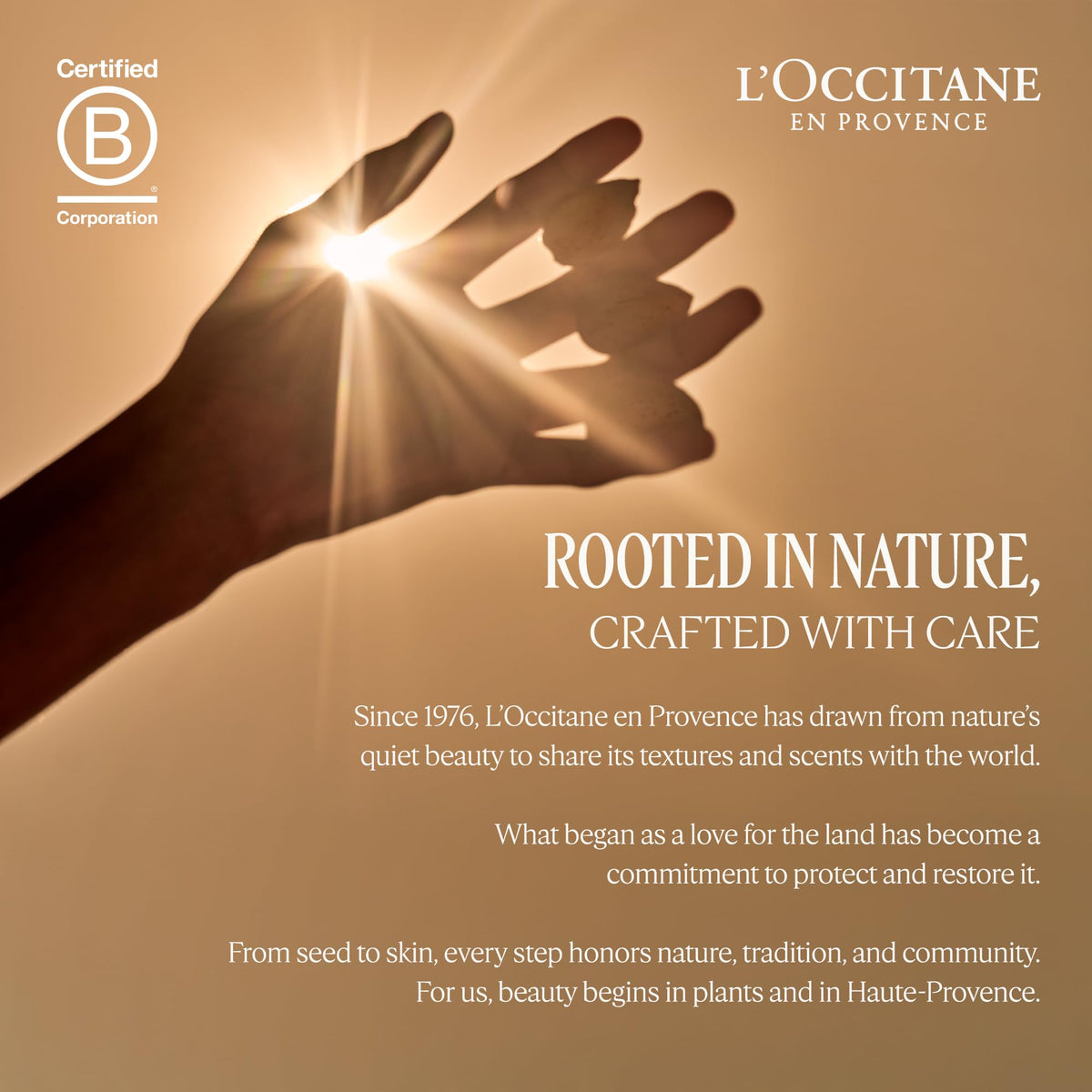 L'OCCITANE Lavender Hand Cream in a hand care routine