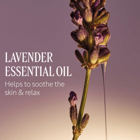 L'OCCITANE Lavender Soap Bar with lavender flowers