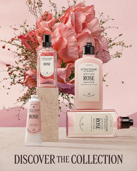 L'OCCITANE Rose Hand Cream 5.20 oz lifestyle scene