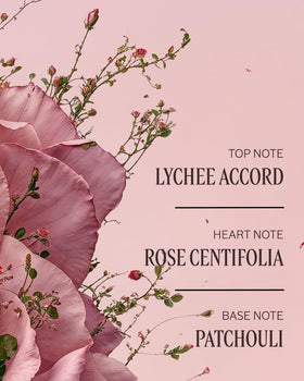 L'OCCITANE Rose Hand Cream 5.20 oz packaging