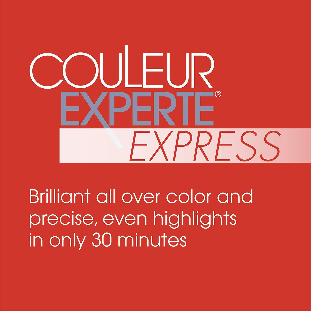 L'Oreal Paris Couleur Experte Hair Colour and Highlights Kit contents including applicator