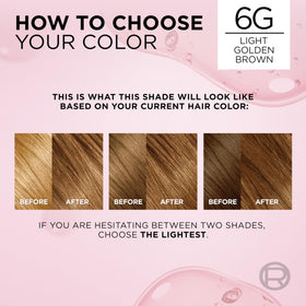 L'Oreal Paris Excellence Crème Hair Dye application process