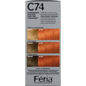 L'Oreal Paris Feria C74 Copper Crave Hair Color kit contents