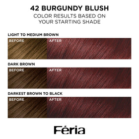 L'Oreal Paris Feria hair dye kit contents including conditioner