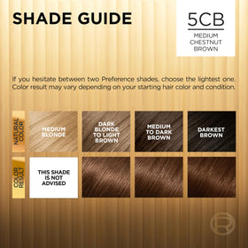 L'Oreal Paris Hair Color Kit packaging with Medium Chestnut Brown label