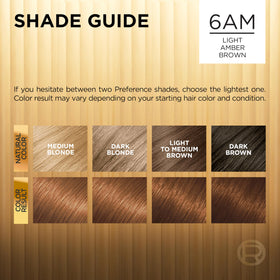 L'Oreal Paris hair dye application instructions leaflet