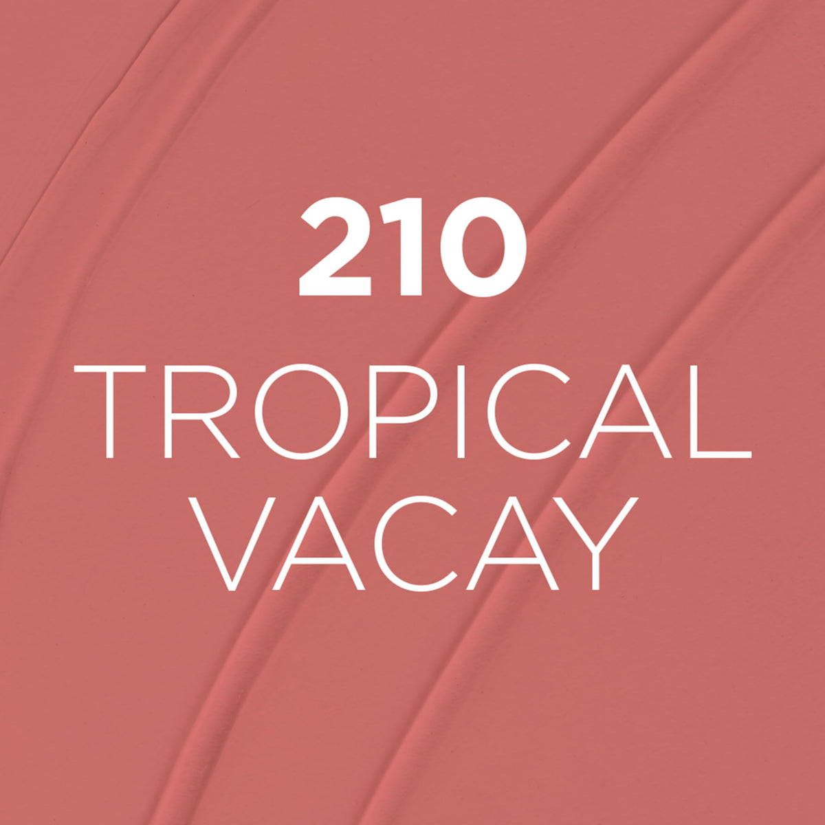 L'Oreal Paris Infallible Matte Liquid Lipstick Tropical Vacay 210 packaging display