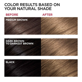 L'Oreal Paris UL61 hair dye application process