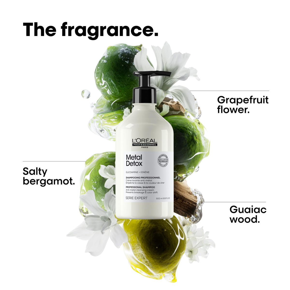 L'Oréal Professionnel Paris Metal Detox Shampoo with Metal Detox mask