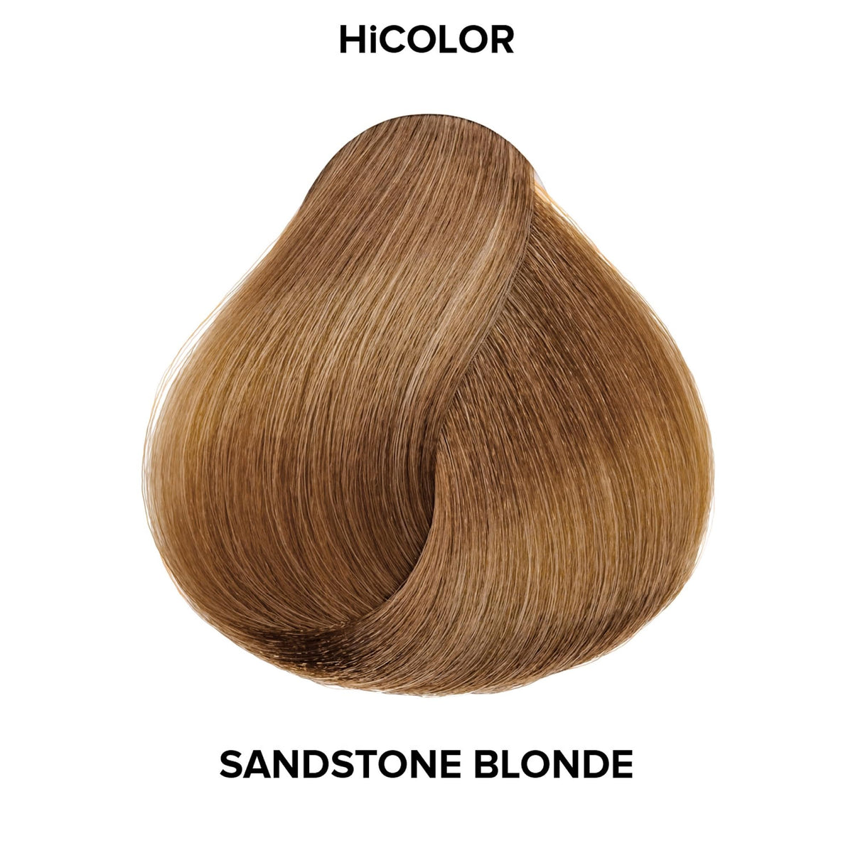 L'OREAL TECHNIQUE HiColor Natural Blonde Hair Color with accessories