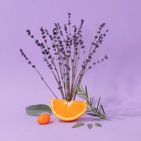 La Compagnie de Provence Lavender Liquid Soap label details