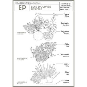 La Compagnie de Provence Savon de Marseille Liquid Soap Olive Wood with botanical ingredients