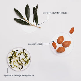 La Compagnie de Provence Velvet Seaweed Liquid Soap packaging and label