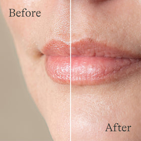 Lansinoh Lanolin Lip Balm product dimensions