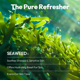 LAPCOS Seaweed Sheet Mask individual mask close-up