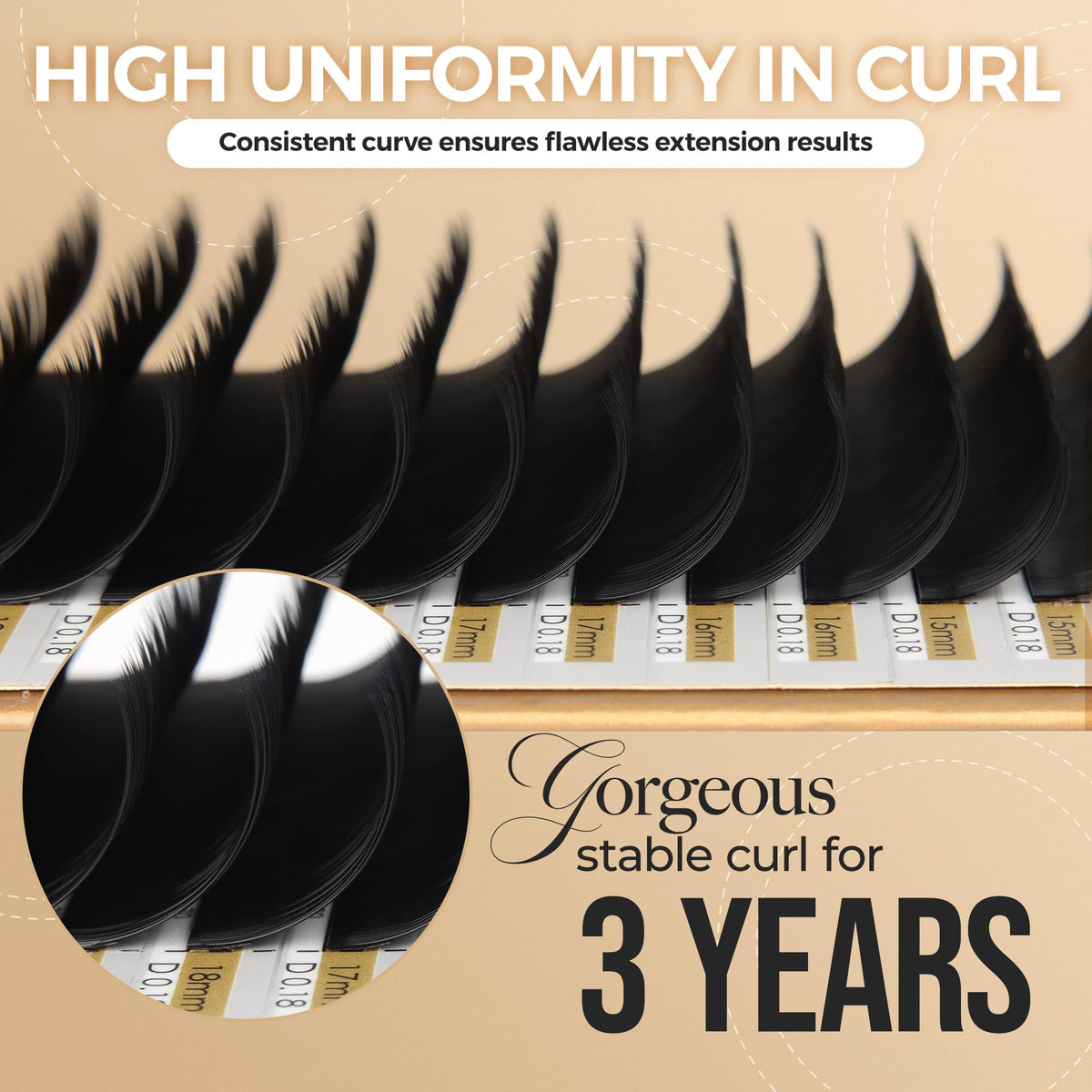 LASHVIEW eyelash extensions tray showing 12 rows
