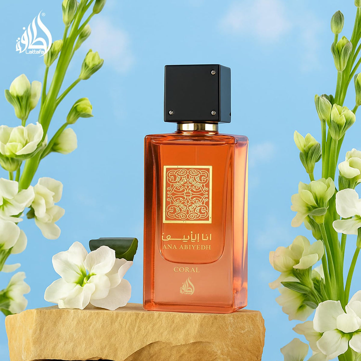Lattafa Ana Abiyedh Coral Eau de Parfum in lifestyle setting