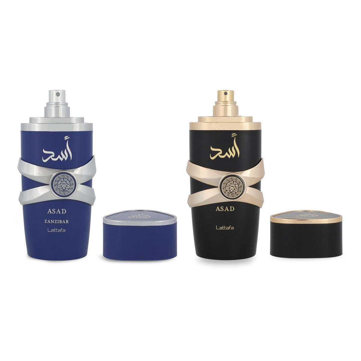 Lattafa Asad Zanzibar fragrance bottle showcasing sea lavender and coconut water notes