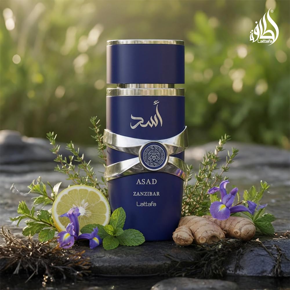 Lattafa Asad Zanzibar fragrance notes illustration