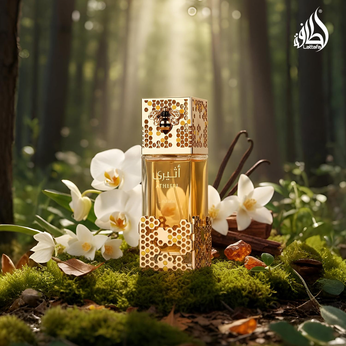 Lattafa Atheeri fragrance notes illustration