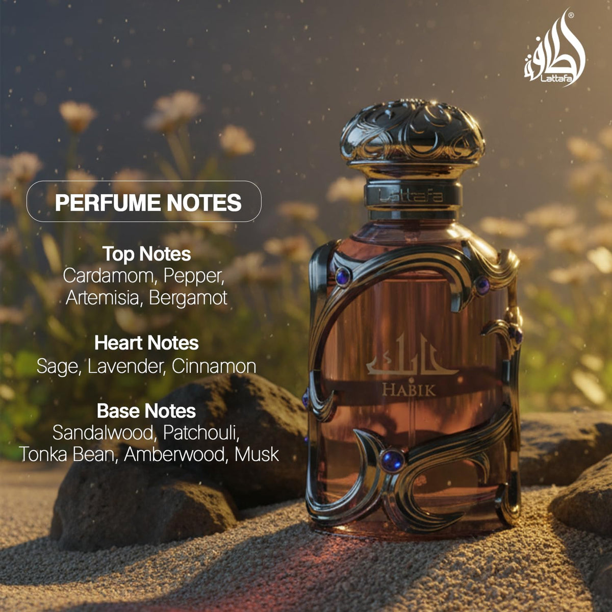 Lattafa Habik Eau de Parfum 100ml packaging