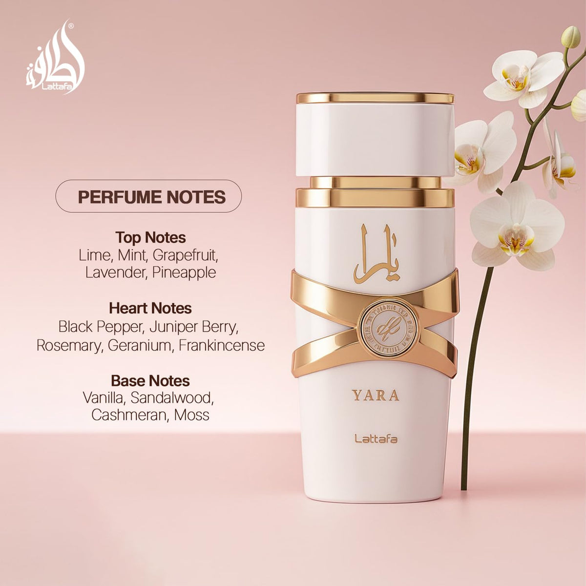 Lattafa Yara Moi bottle close-up