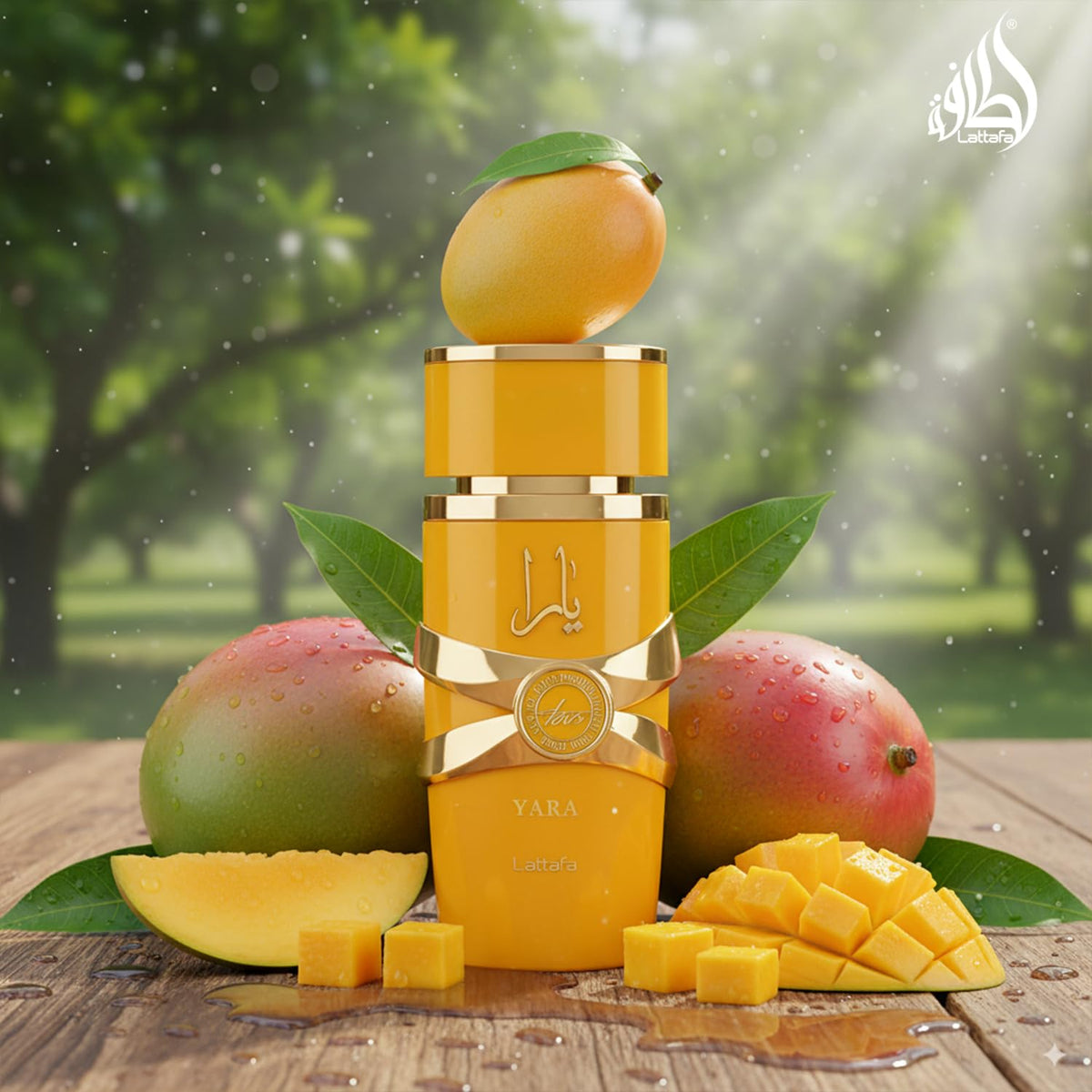Lattafa Yara Tous Eau de Parfum packaging front
