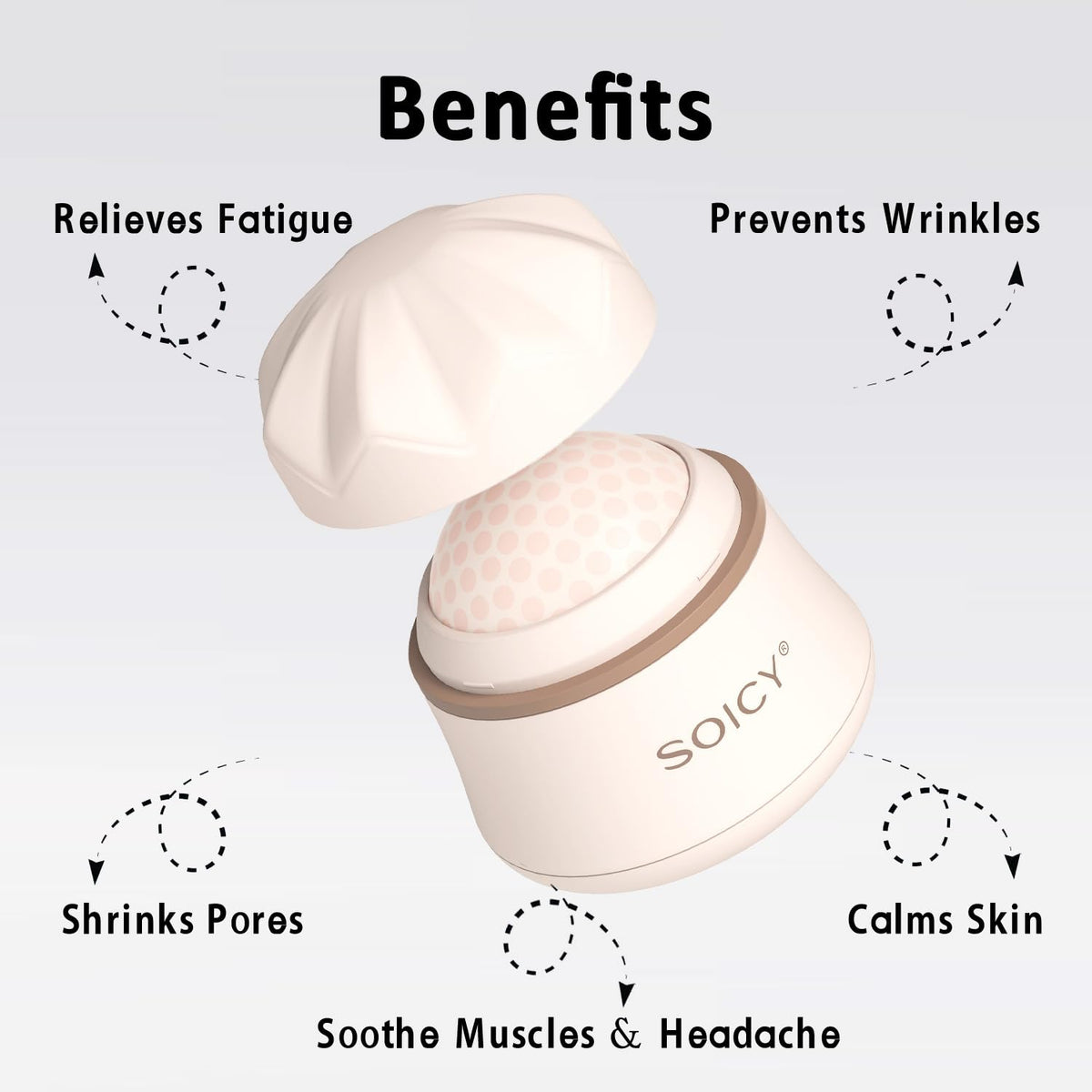 Leeshine Ice Roller Ball in its carry case