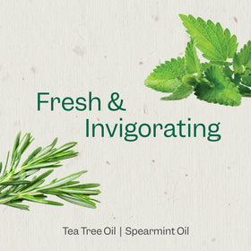 Lifestyle scene of RENPURE Tea Tree & Mint Body Wash in a bathroom