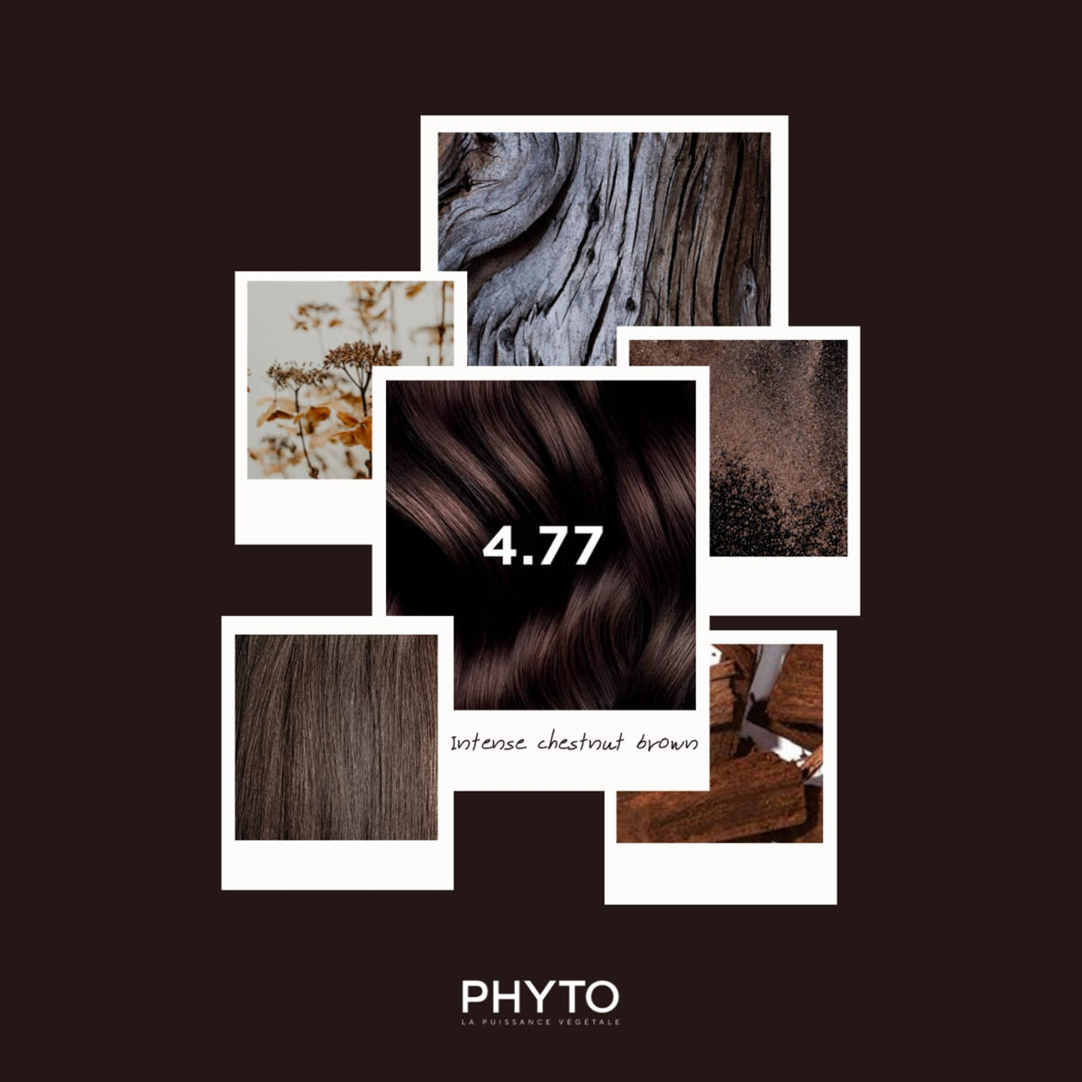 Lifestyle shot of model with PHYTO Phytocolor 4.77 hair color