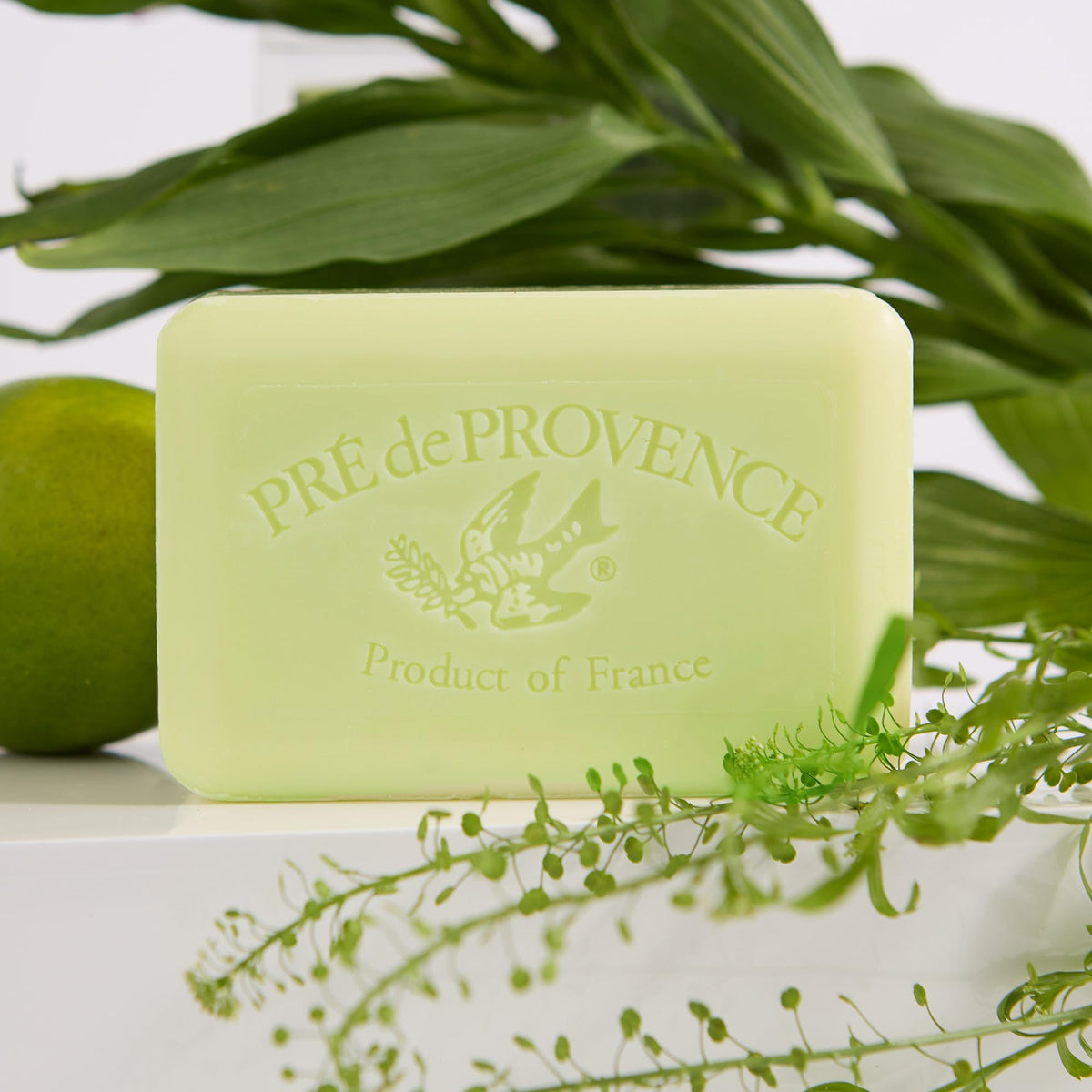 Linden scent soap bar displayed on a wooden surface