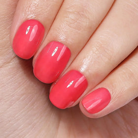 LONDONTOWN kur Perfecting Nail Veil Sheer Poppy Red with floral background