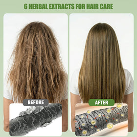 Lunory Hair Dye Shampoo with Ginseng and Argan Oil