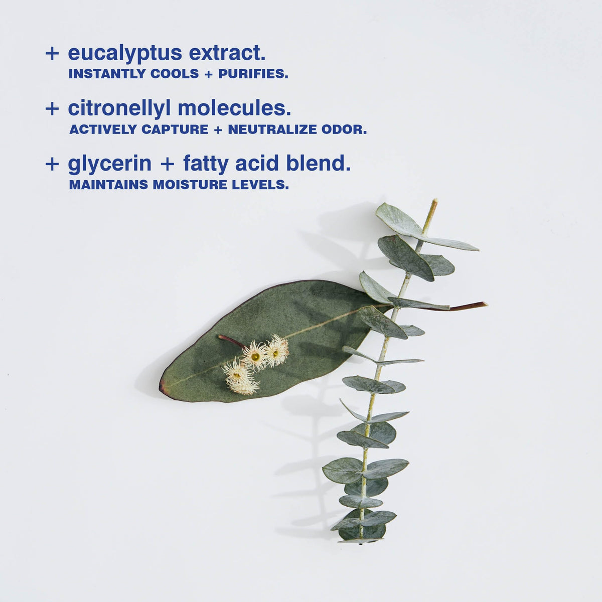 MALIN+GOETZ Eucalyptus Deodorant back view with ingredients