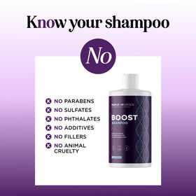 Maple Holistics Advanced Biotin Shampoo back label