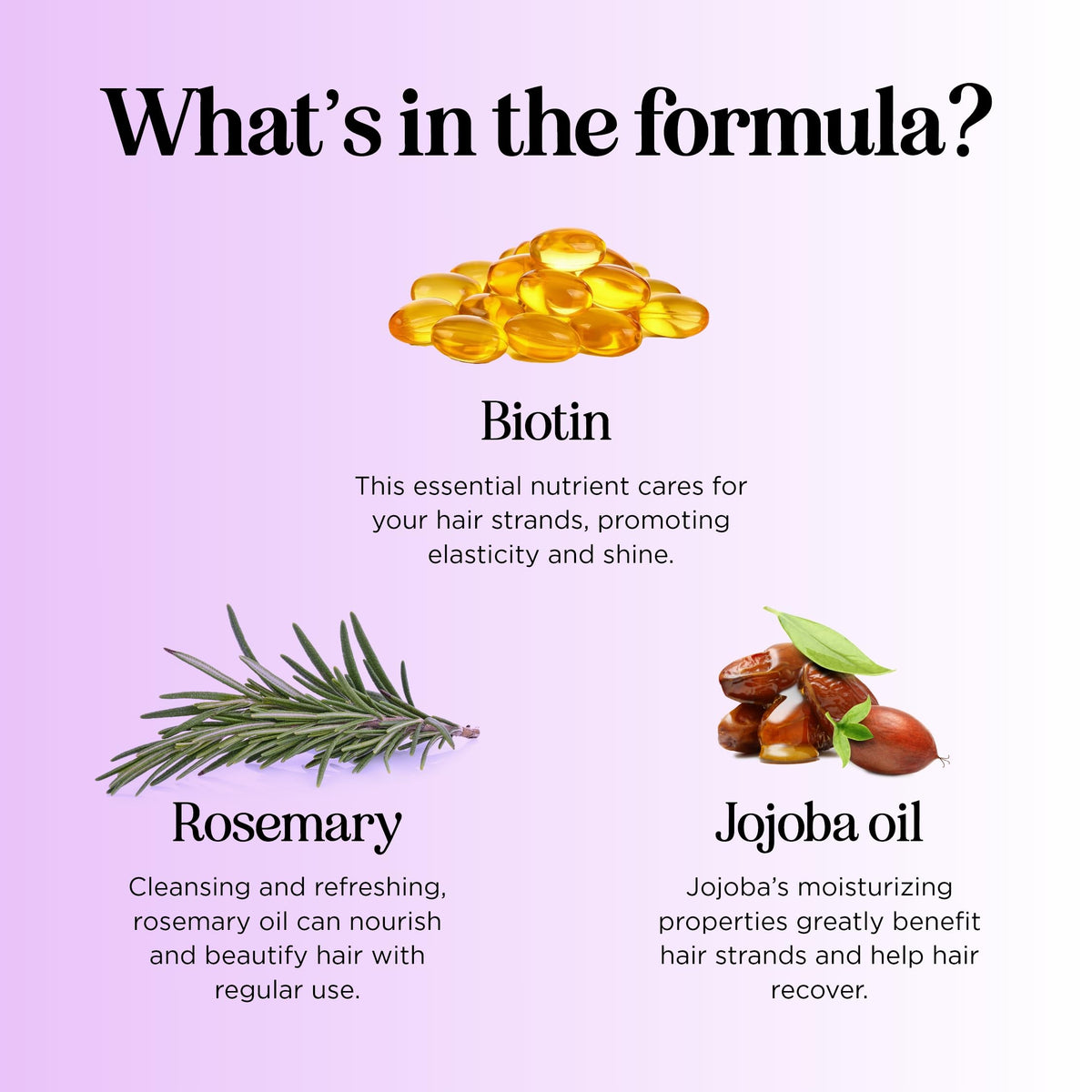 Maple Holistics Advanced Biotin Shampoo with rosemary and moringa oil