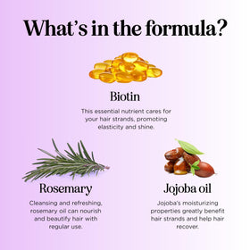 Maple Holistics Advanced Biotin Shampoo with rosemary and moringa oil