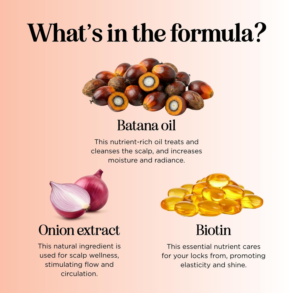 Maple Holistics Biotin & Batana Oil Shampoo with ingredients