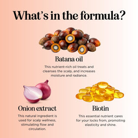 Maple Holistics Biotin & Batana Oil Shampoo with ingredients